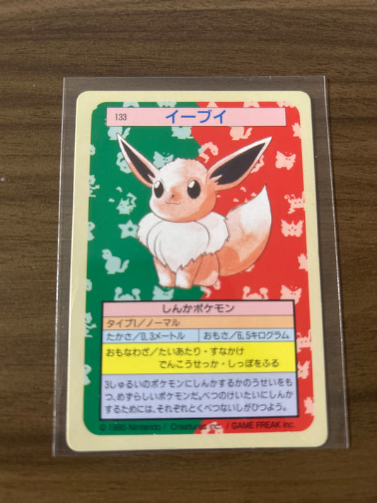 トップサン　イーブイ　Eevee 裏緑